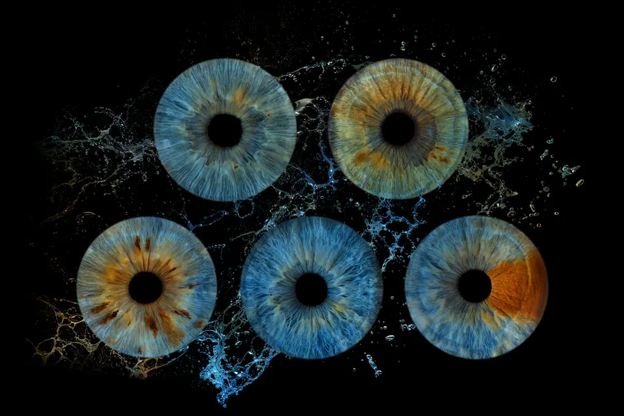 Cinq iris aux teintes turquoise et vert d’eau, noisette et vert tendre, bleu et ambre, bleu, bleu et ambre, dans la composition Cascade.