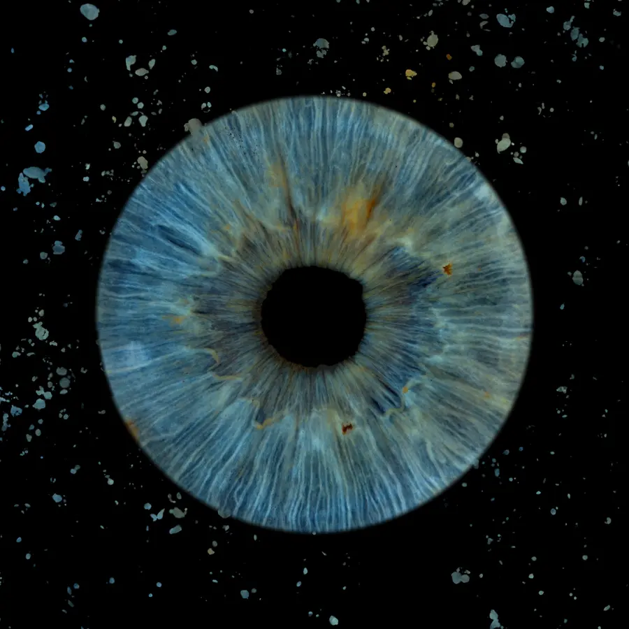Un iris aux teintes turquoise et vert d’eau, dans la composition Cuivre.