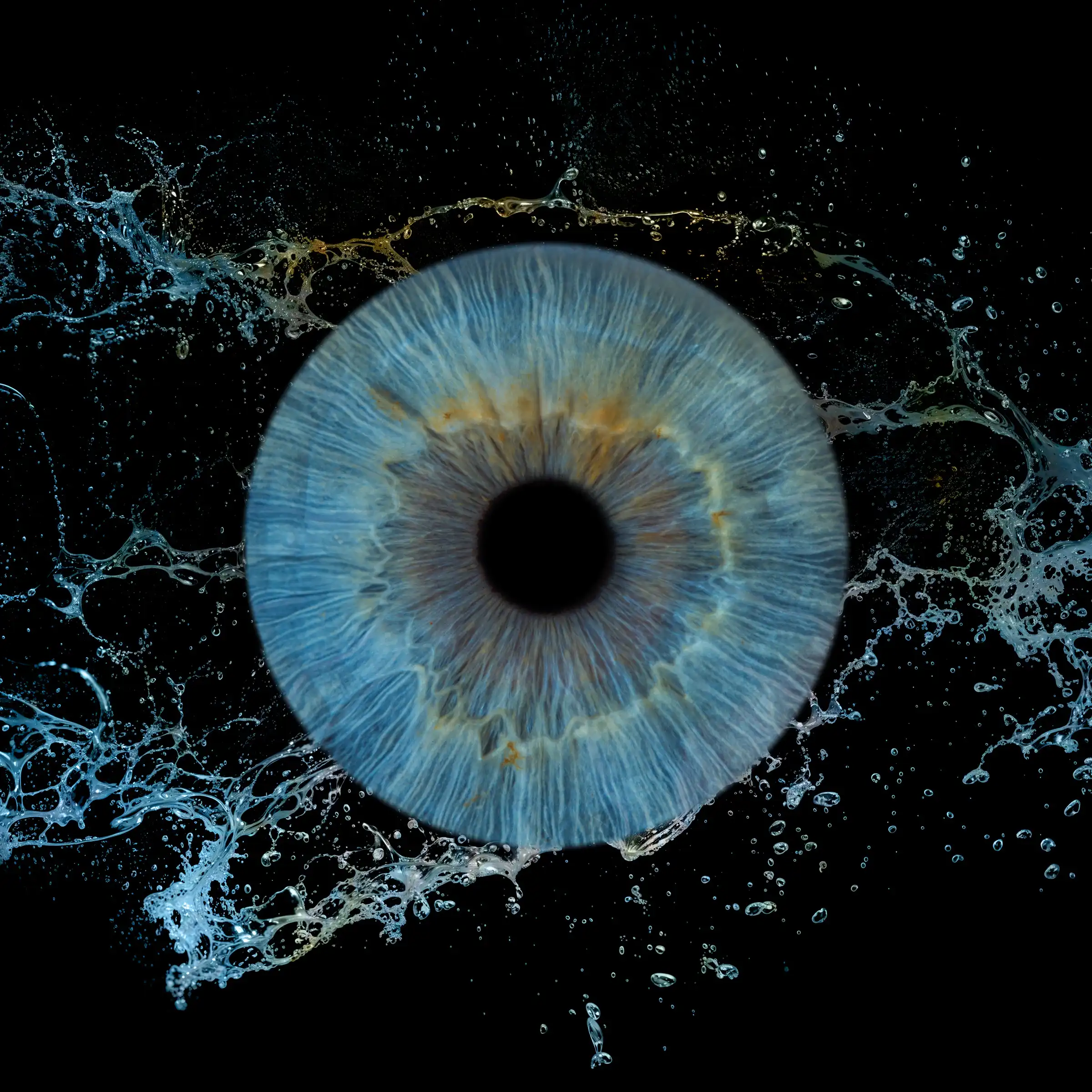 Un iris aux teintes turquoise clair et gris, dans la composition Embruns.