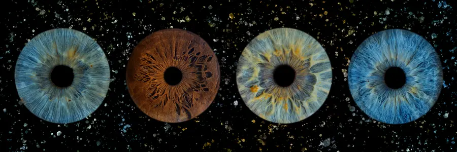 Quatre iris aux teintes bleu, bleu et ambre à reflets verts, brun ambré, turquoise et vert d’eau, dans la composition Horizon.