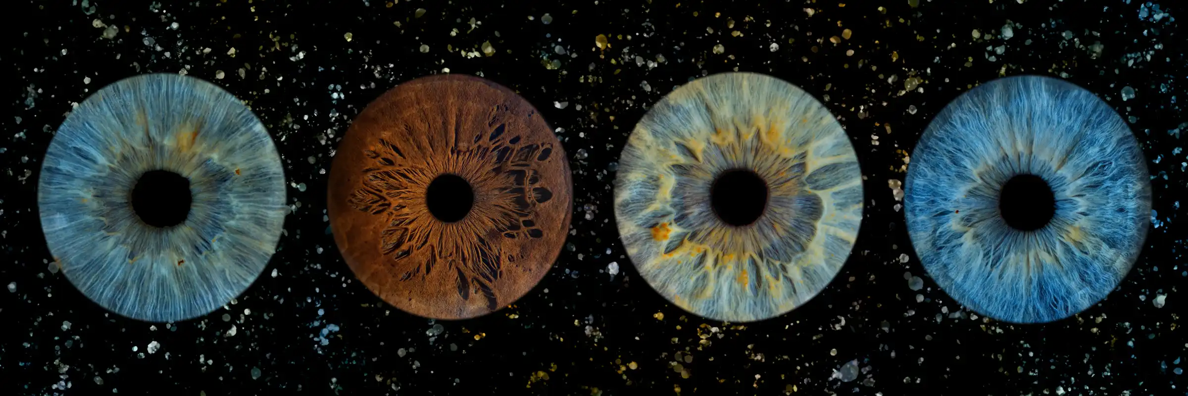Quatre iris aux teintes bleu, bleu et ambre à reflets verts, brun ambré, turquoise et vert d’eau, dans la composition Horizon.