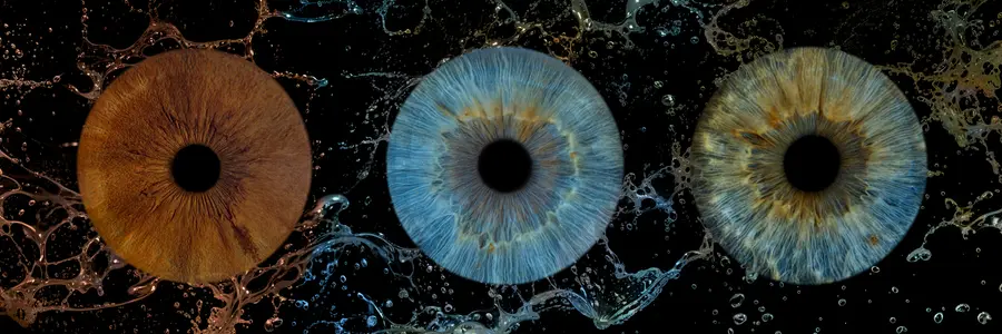 Trois iris aux teintes brun chocolat, turquoise clair et gris, bleu et ambre à reflets verts, dans la composition Méandre.