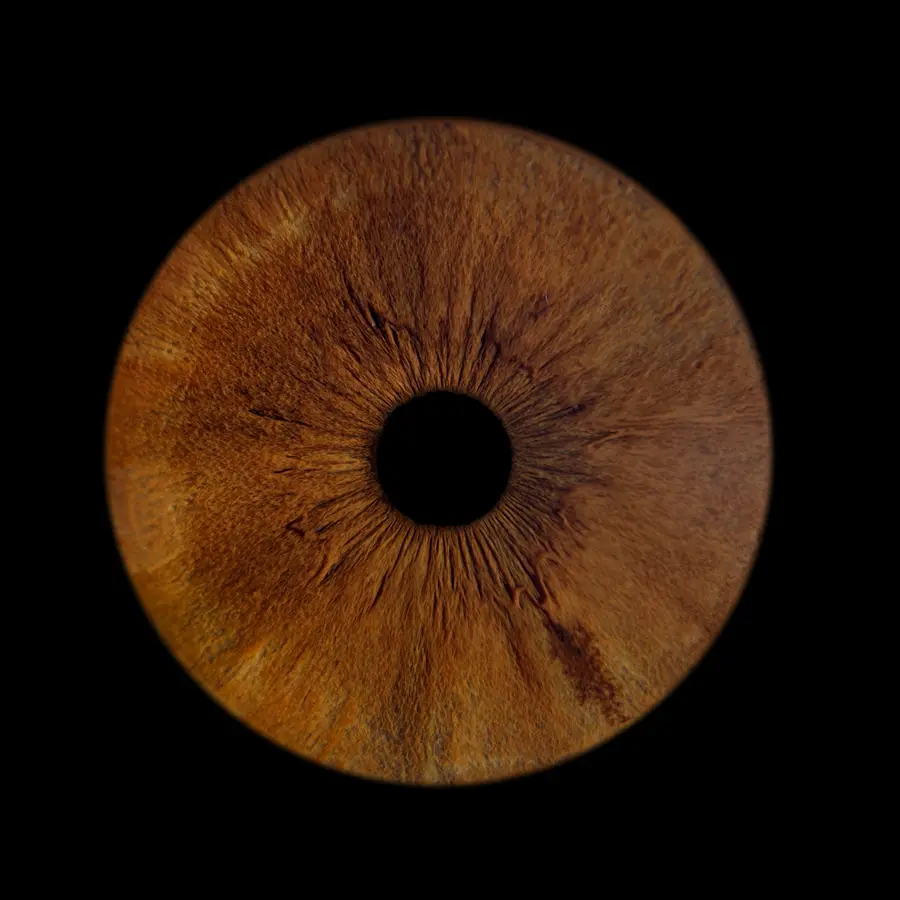 Un iris aux teintes brun chocolat, dans la composition Onyx.