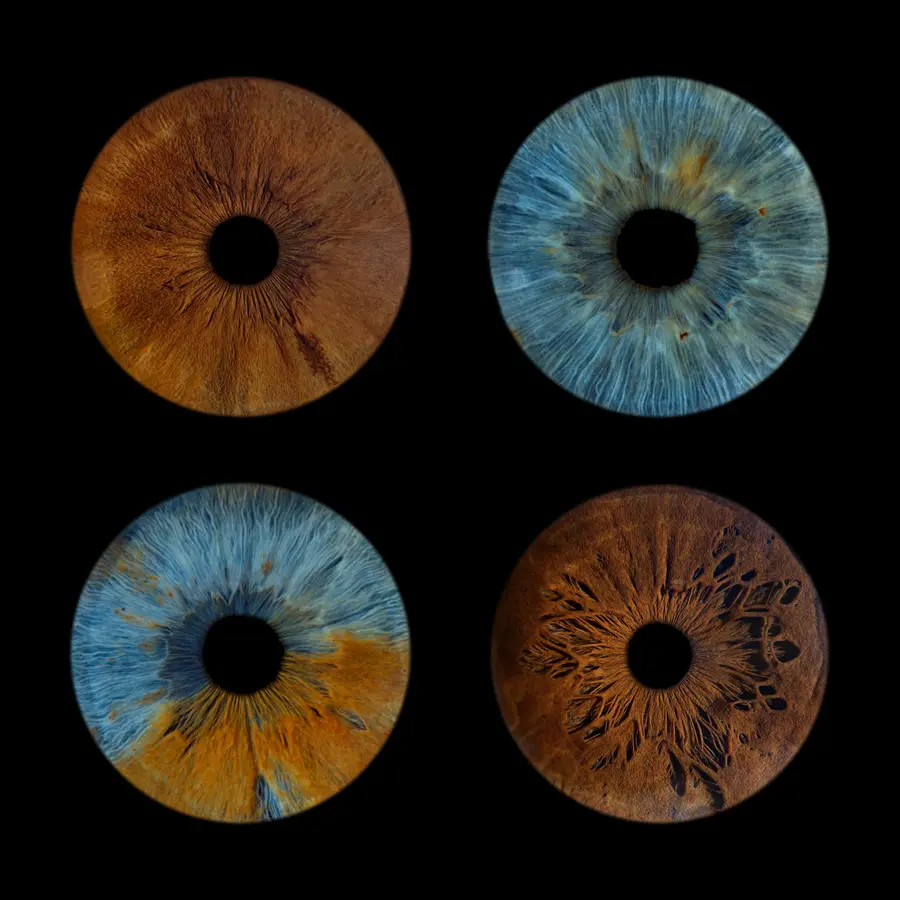 Quatre iris aux teintes brun chocolat, turquoise et vert d’eau, bleu et ambre, brun ambré, dans la composition Velours.