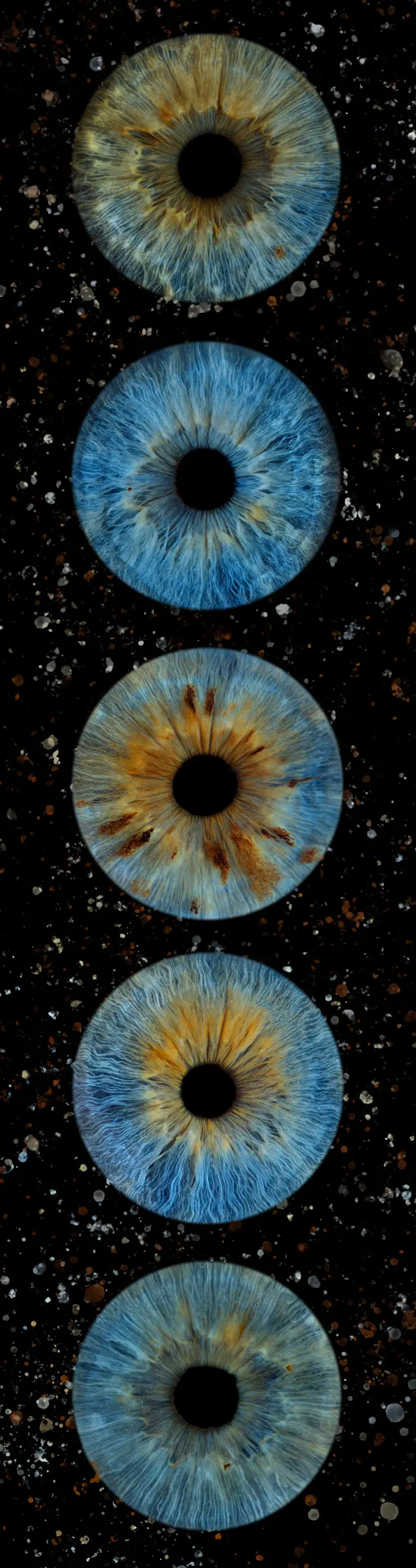 Cinq iris aux teintes bleu et ambre à reflets verts, bleu, bleu et ambre, bleu et ambre, turquoise et vert d’eau, dans la composition Zodiaque.